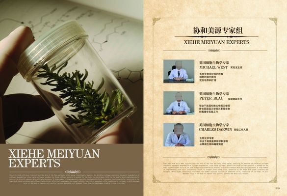 山西专家团队在岚县临县开展马铃薯产业发展实地调研指导